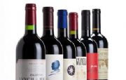 Spanish Wine Cellar & Pantry 2011