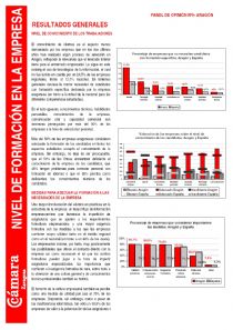 Nivel de formaci�n en la empresa 