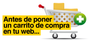 Antes de poner un carrito de compra en la web de su empresa…