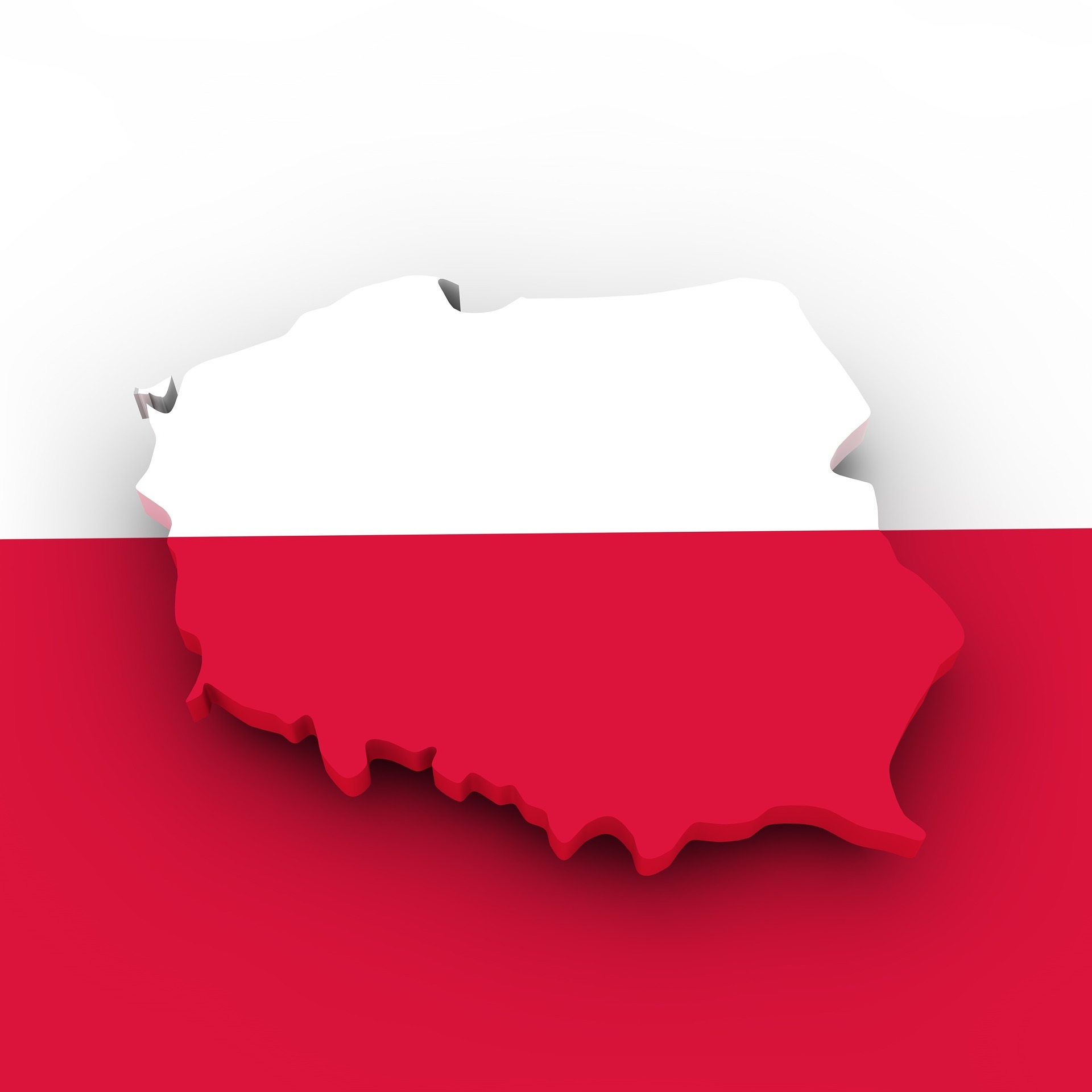 Misión comercial virtual a Polonia