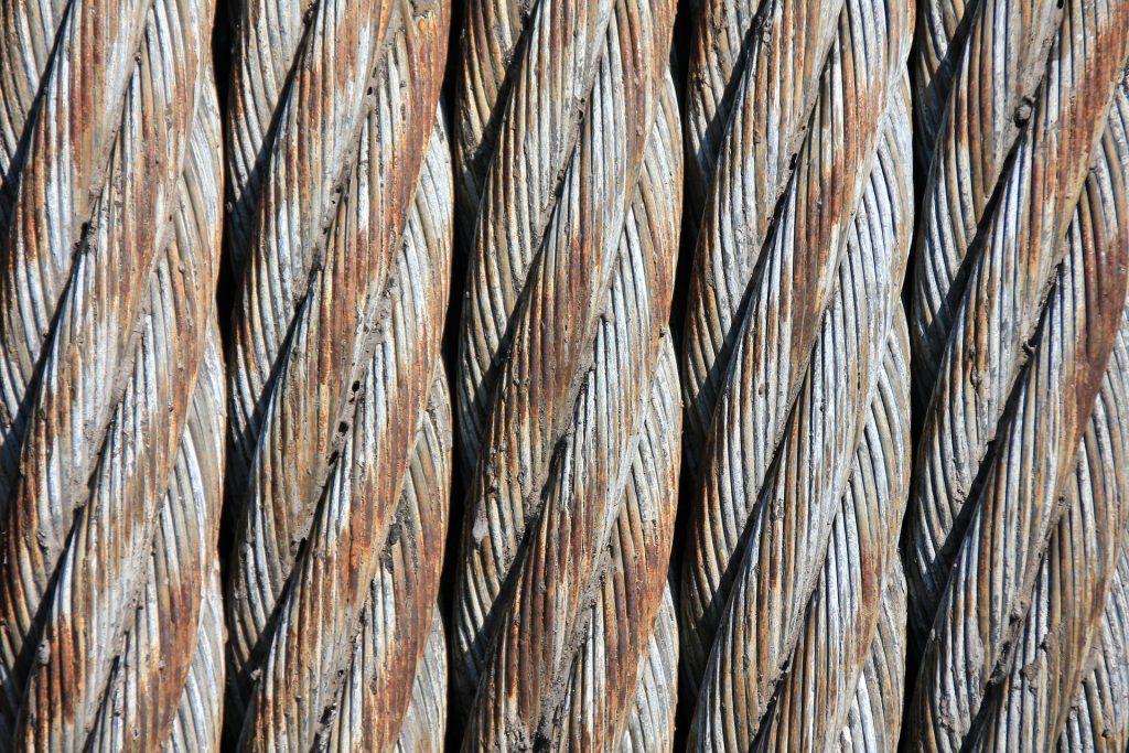 Verónica Iliescu, CEO en CABLESCOM