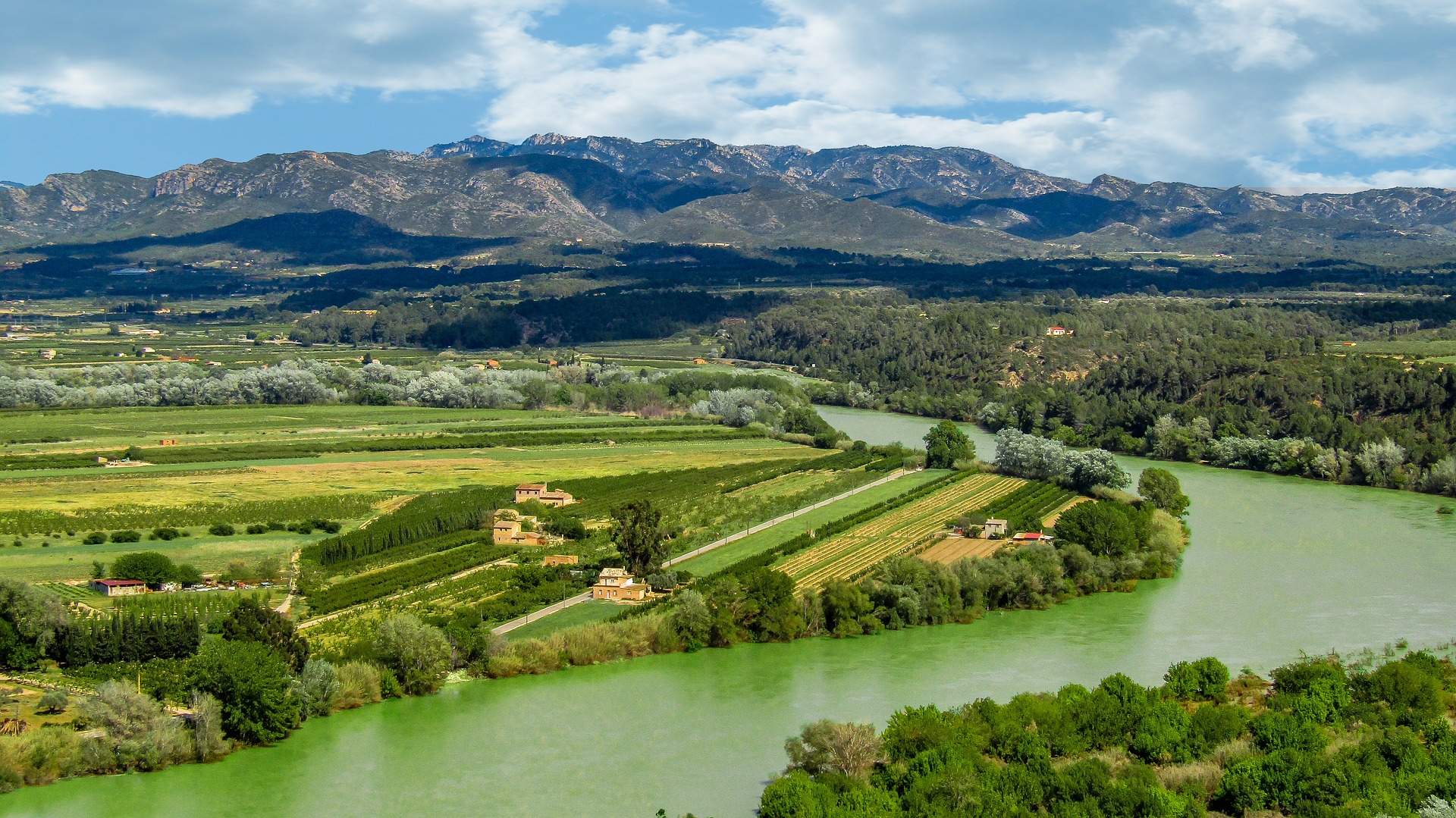 Dolores Pascual. Confederación Hidrográfica del Ebro