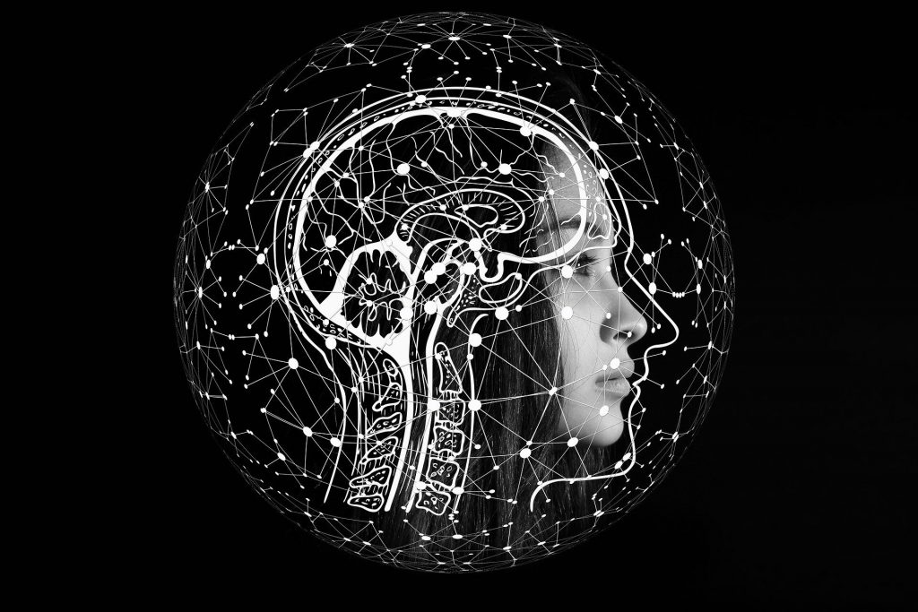 Eficiencia y Crecimiento a través de la digitalización y la automatización