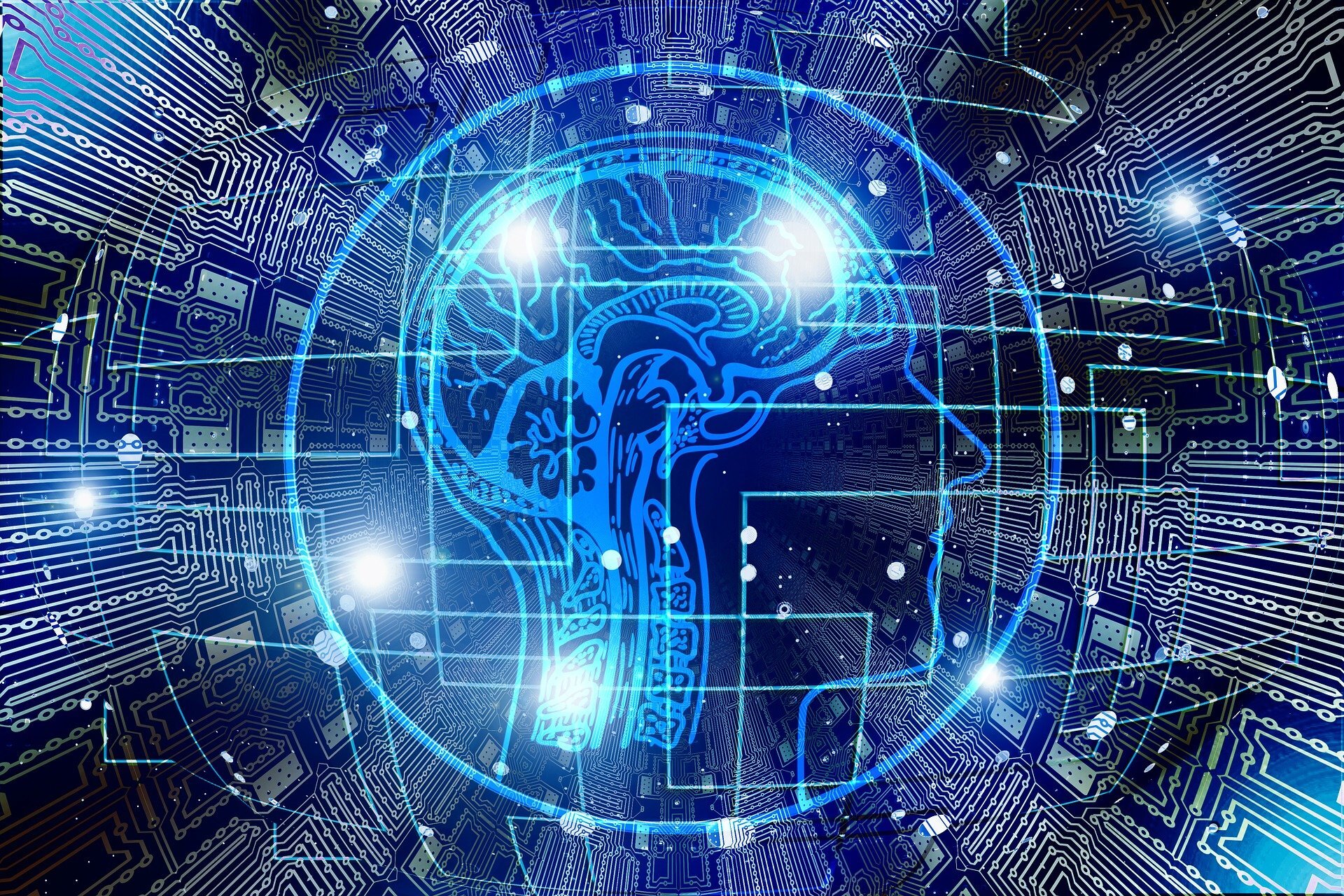Computer Science, la importancia de un curriculum vertical en Educación