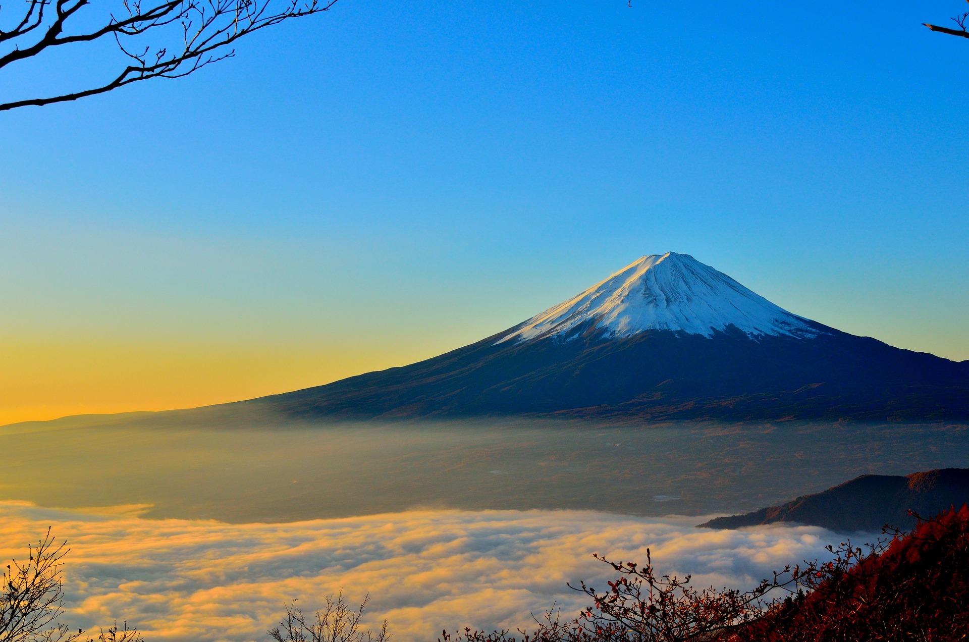 El mercado japonés. Situación y oportunidades de negocio e inversión