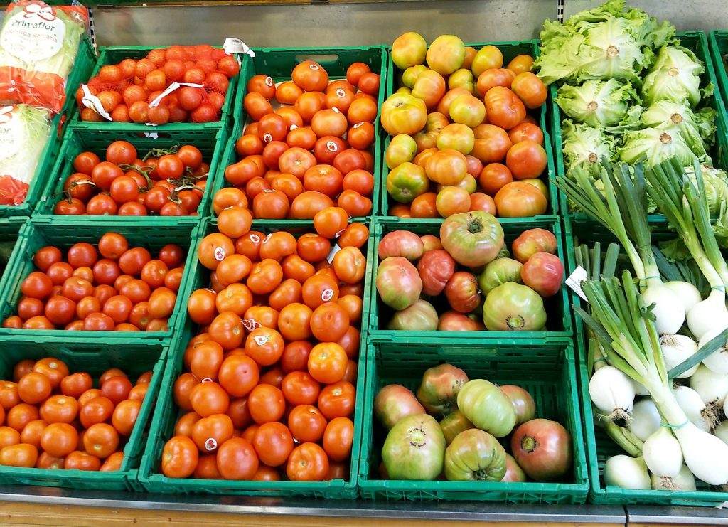 Potenciando el talento en el sector agroalimentario y logístico: el proyecto Océano en Mercazaragoza