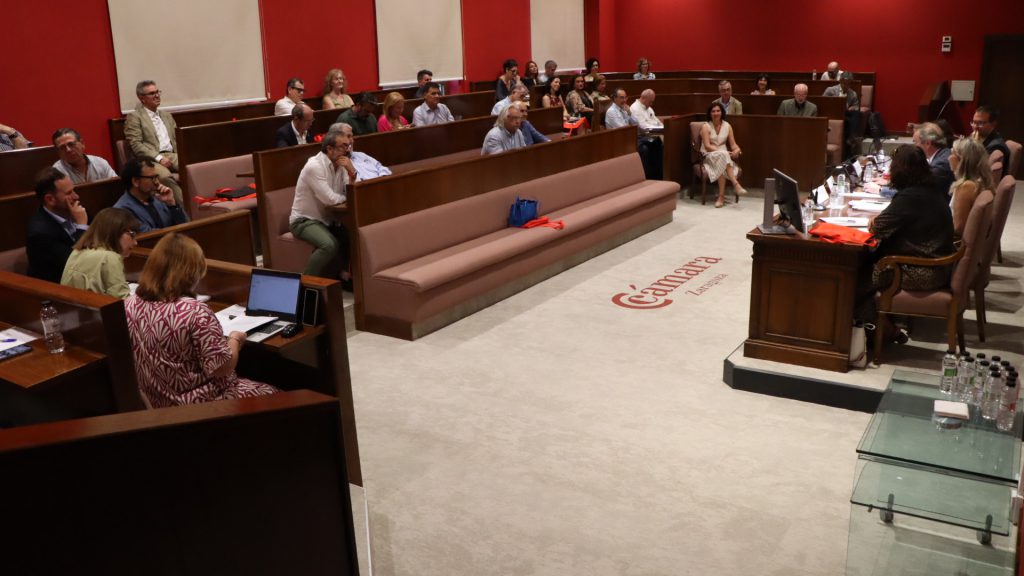 El Pleno de la Cámara vuelve a su sede