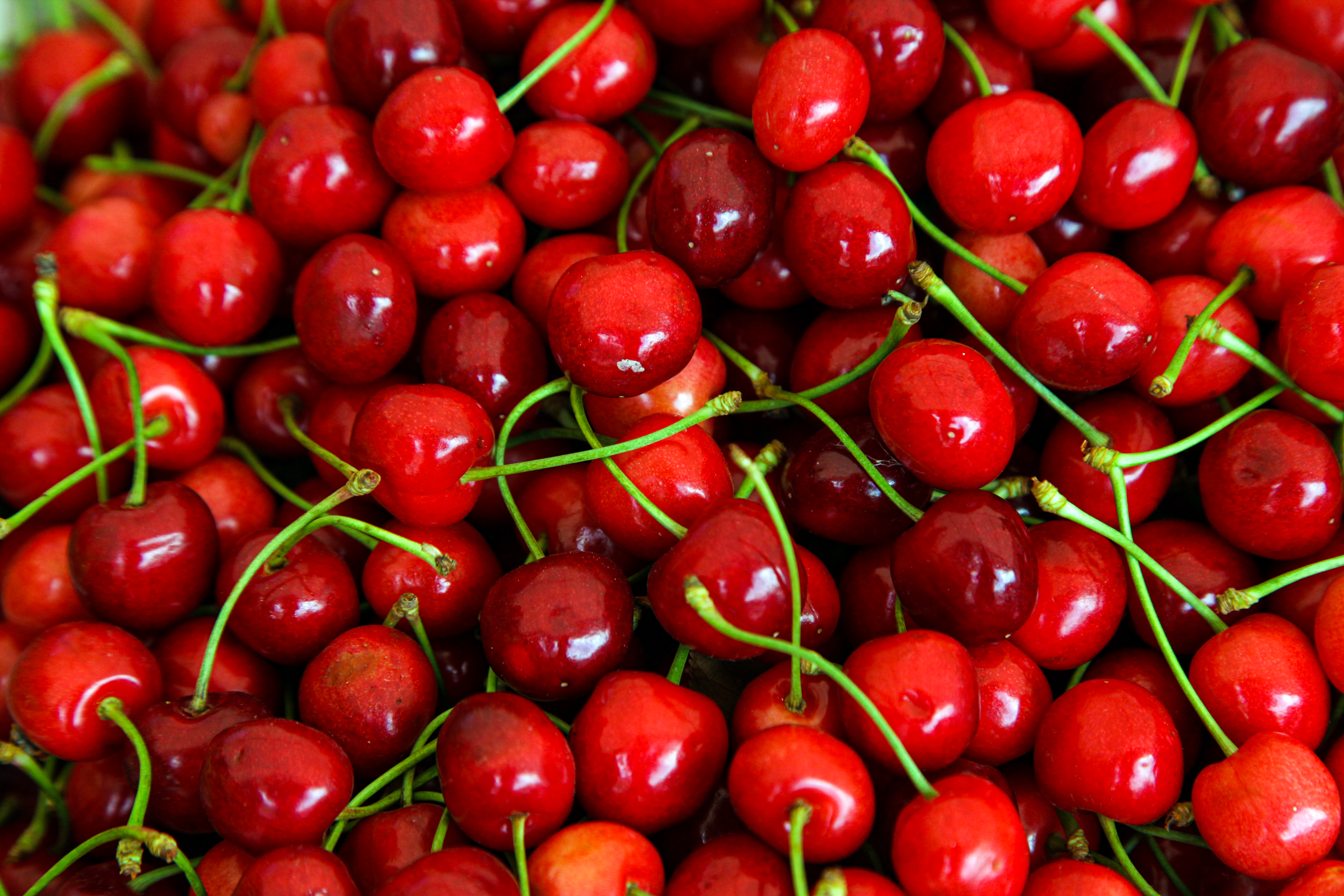 Menchu Guerrero, CEO en Orchard Fruit