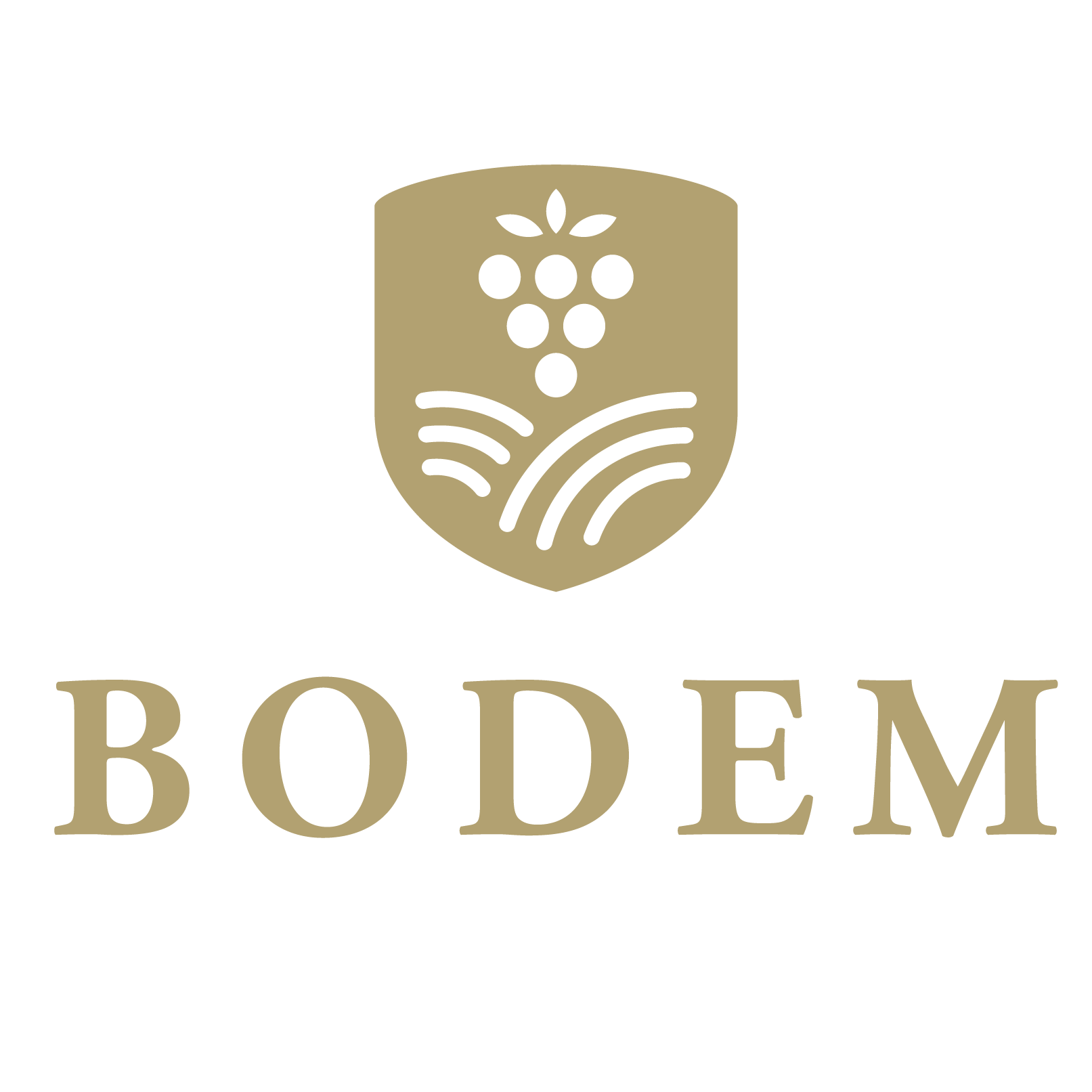 Bodem Bodegas